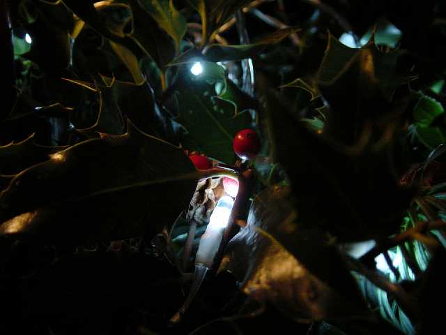 Picture 017.jpg